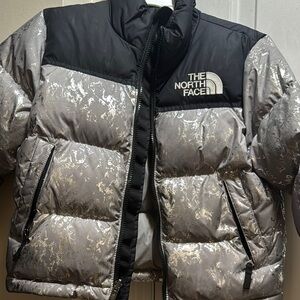 The North Face Black and Silver Puffer Jacket